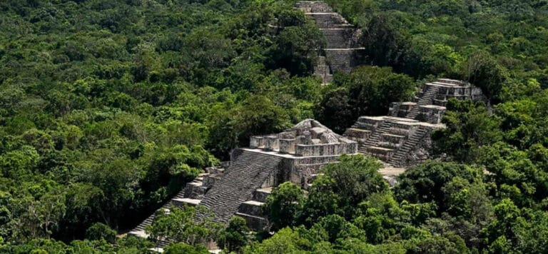 Calakmul Campeche Zona Arqueol Gica Y Reserva Info Quintana Roo