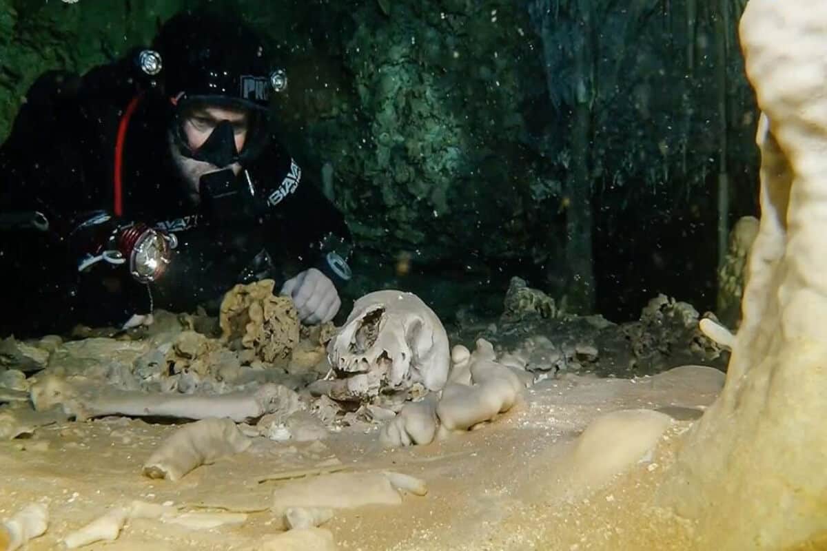 Cenote Sac Actun Bucear En Un Cenote Info Quintana Roo