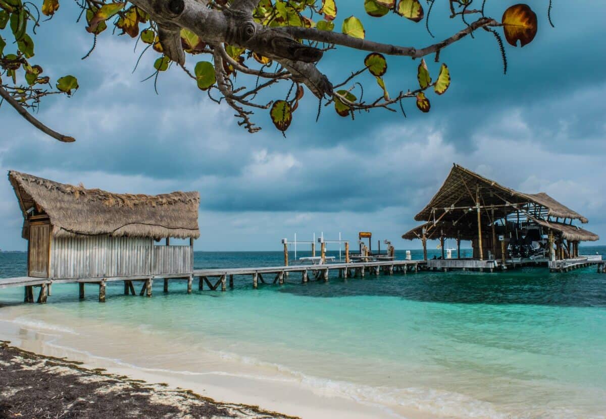 Playa Tortugas Cancún - Todo lo que debes saber - Info Quintana Roo