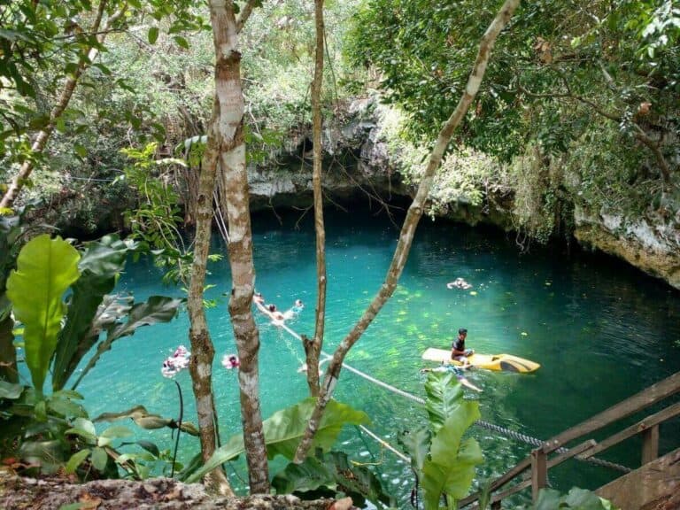 Cenotes En Cancún - Los 14 Más Impresionantes - Info Quintana Roo