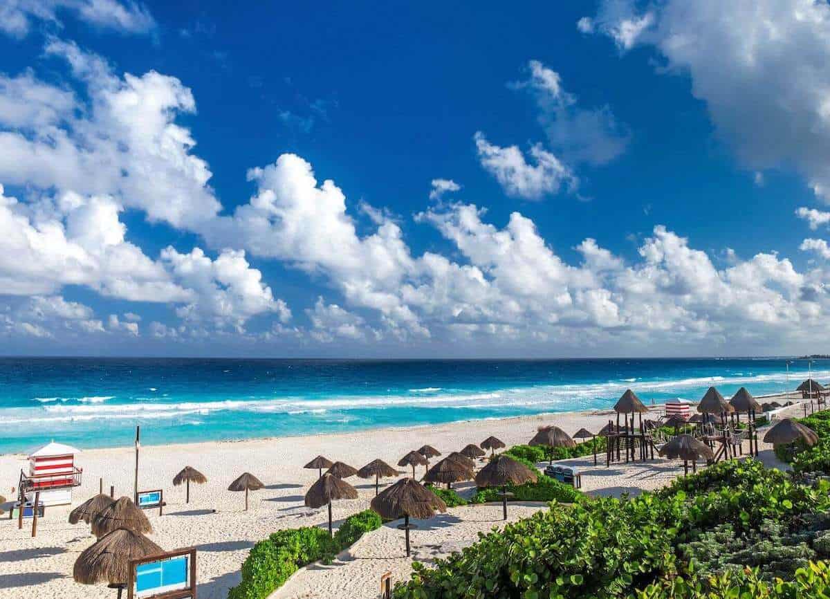 Playa Delfines Canc N No Vayas Sin Leer Esto Info Quintana Roo   Playa Delfines Cancun Mangle 