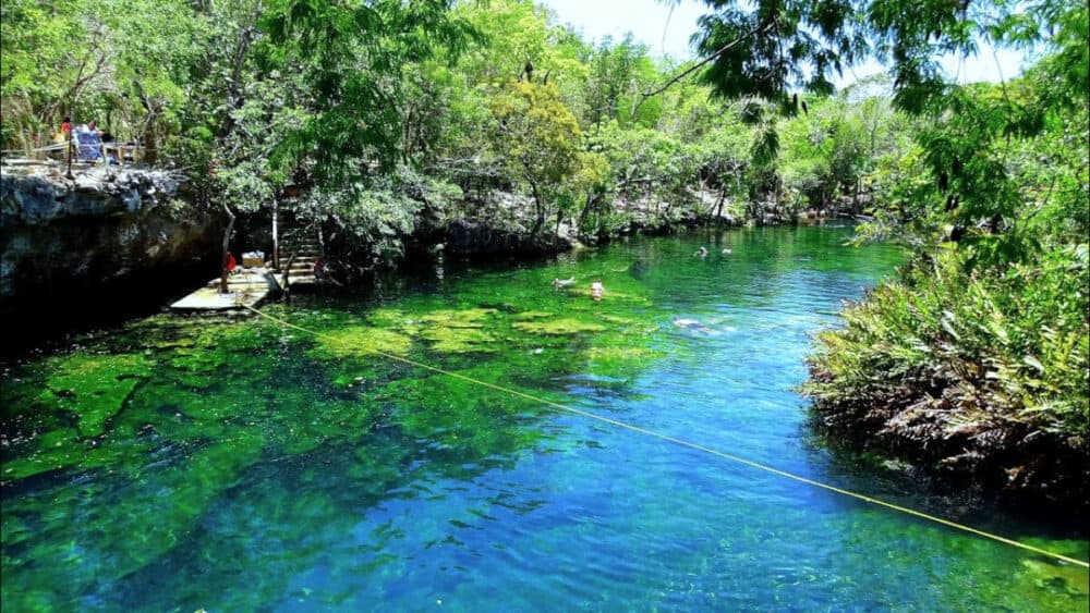 Cenotes Playa del Carmen - Cenote Jardín del Edén