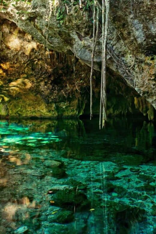 Gran Cenote Tulum - Descubre esta maravilla natural