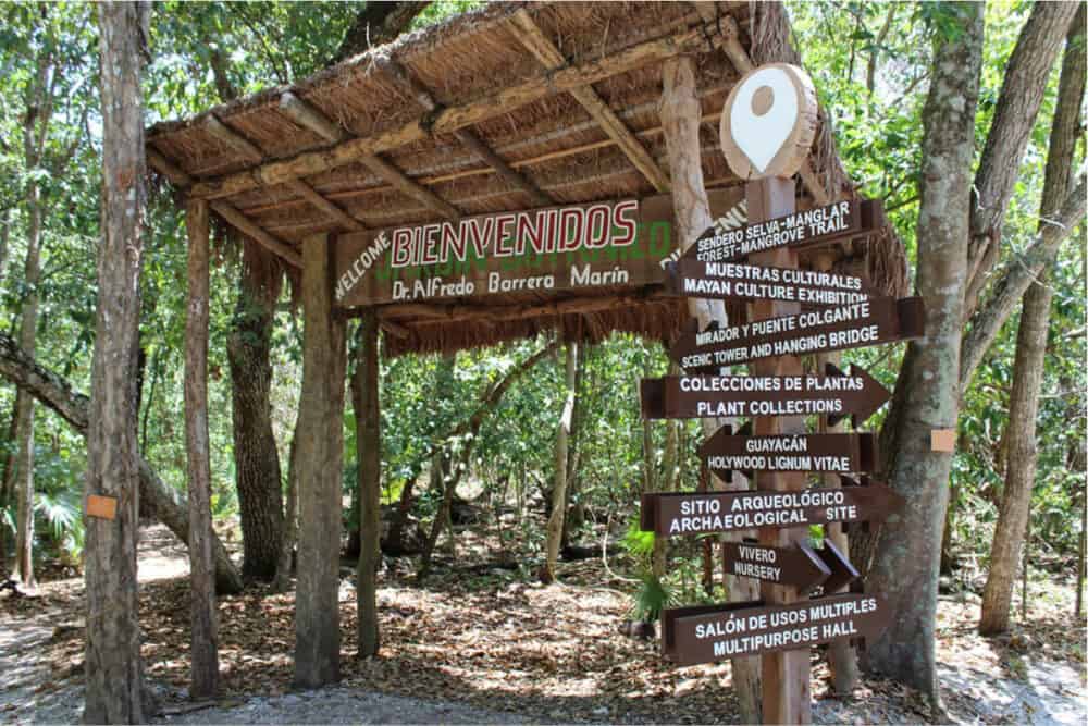Puerto Morelos - Jardín Botánico