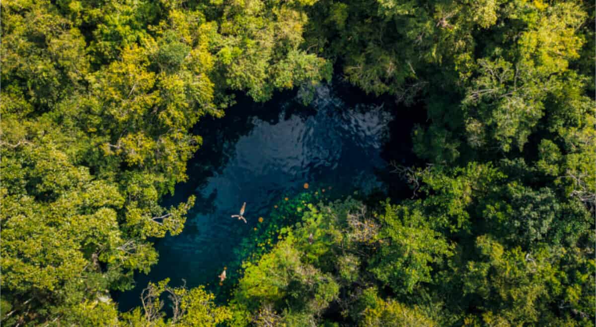 Ruta de los Cenotes Puerto Morelos - Descubre cómo disfrutarlo al máximo