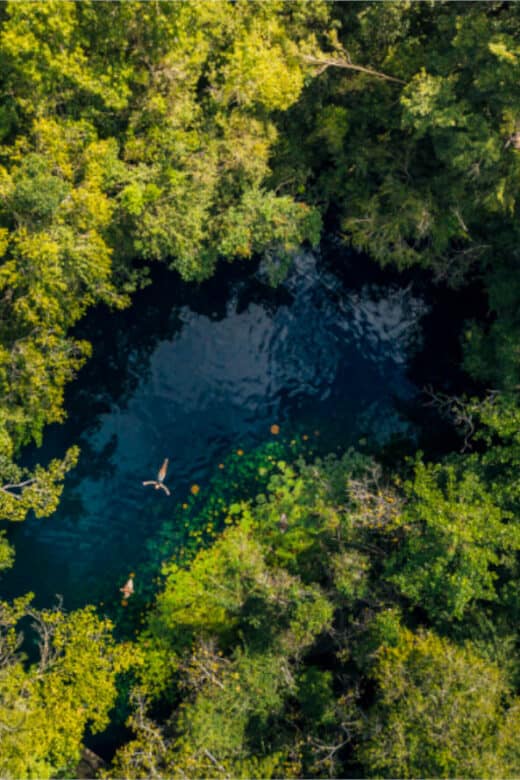 Ruta de los Cenotes Puerto Morelos - Descubre cómo disfrutarlo al máximo