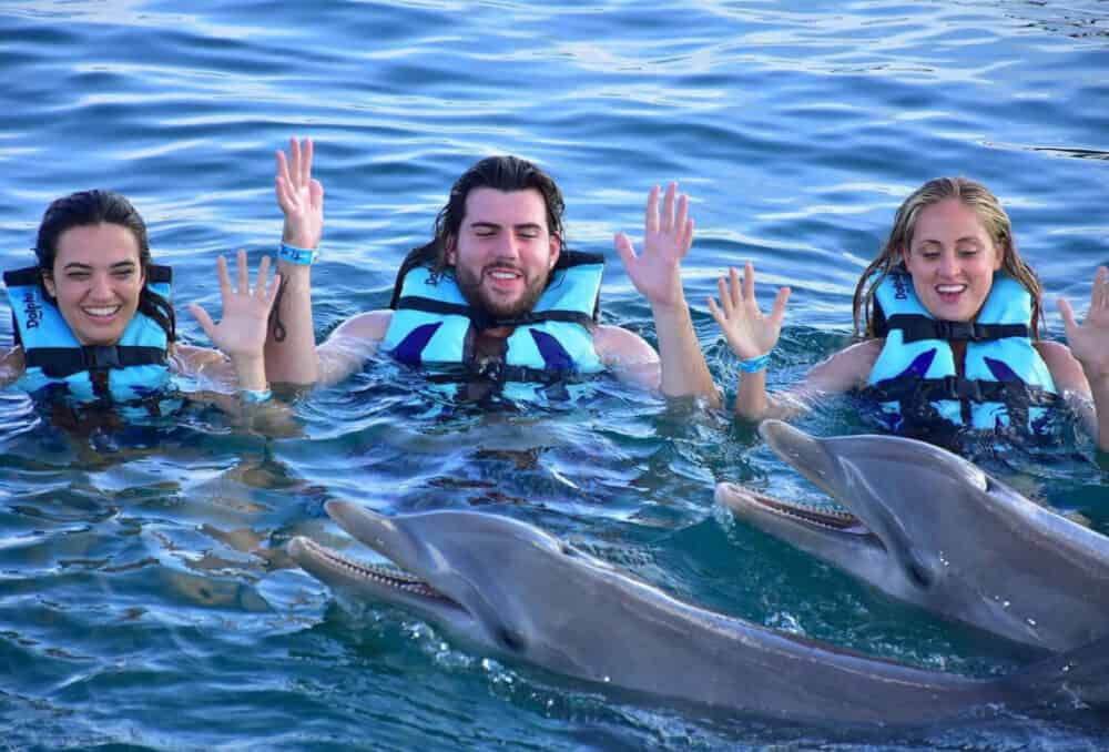Dolphin Discovery - Interacción con Delfines