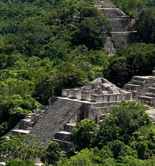 Calakmul Campeche - Zona Arqueológica