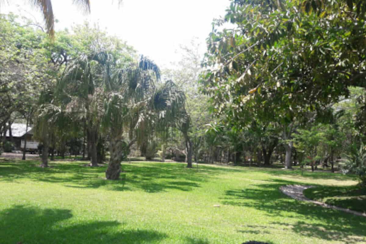 Ciudad del Carmen Campeche - El Jardín Botánico UNACAR