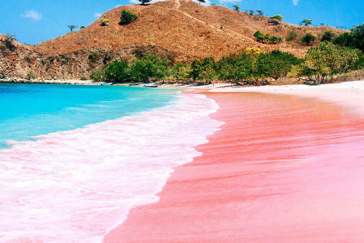 Las mejores playas de México - Playa Rosa (Yucatán)