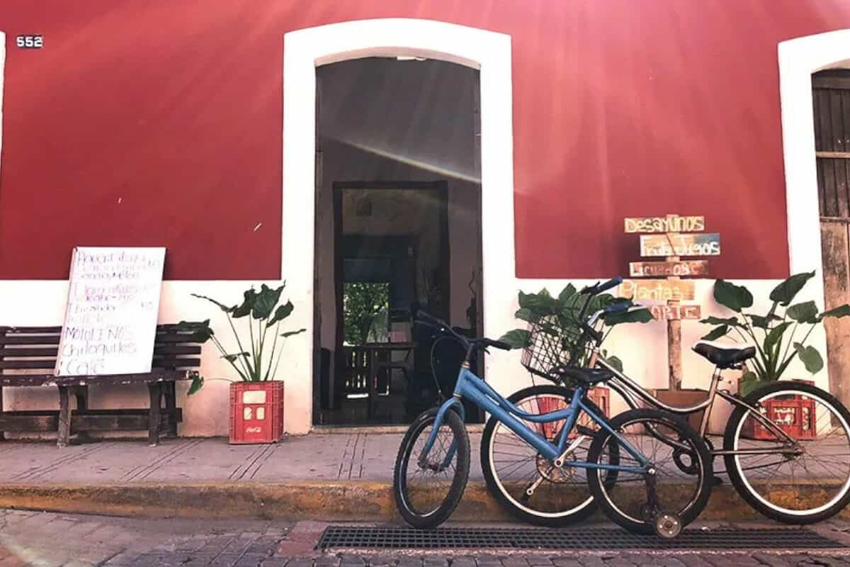 Río Lagartos Yucatán - Paseo en Bicicleta