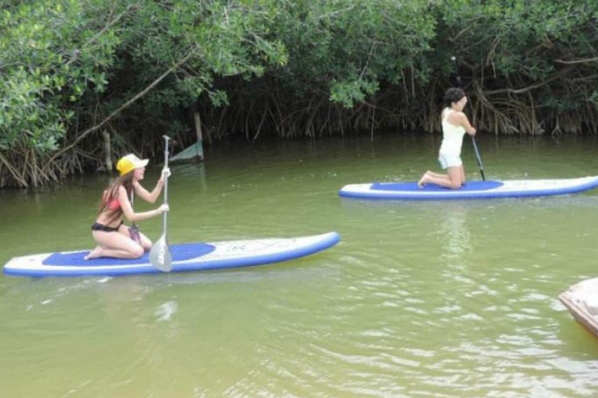 Río Lagartos Yucatán - Paseo en Kayak