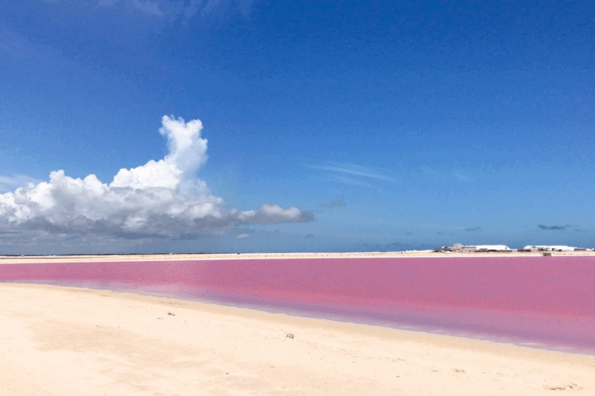 Tizimín Yucatán - Las Coloradas, el lugar soñado por los visitantes
