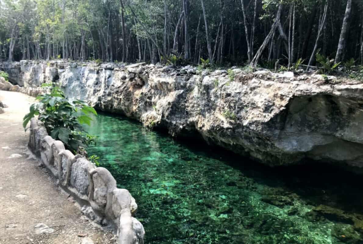 Cenote Casa Tortuga - Cenote tres zapotes