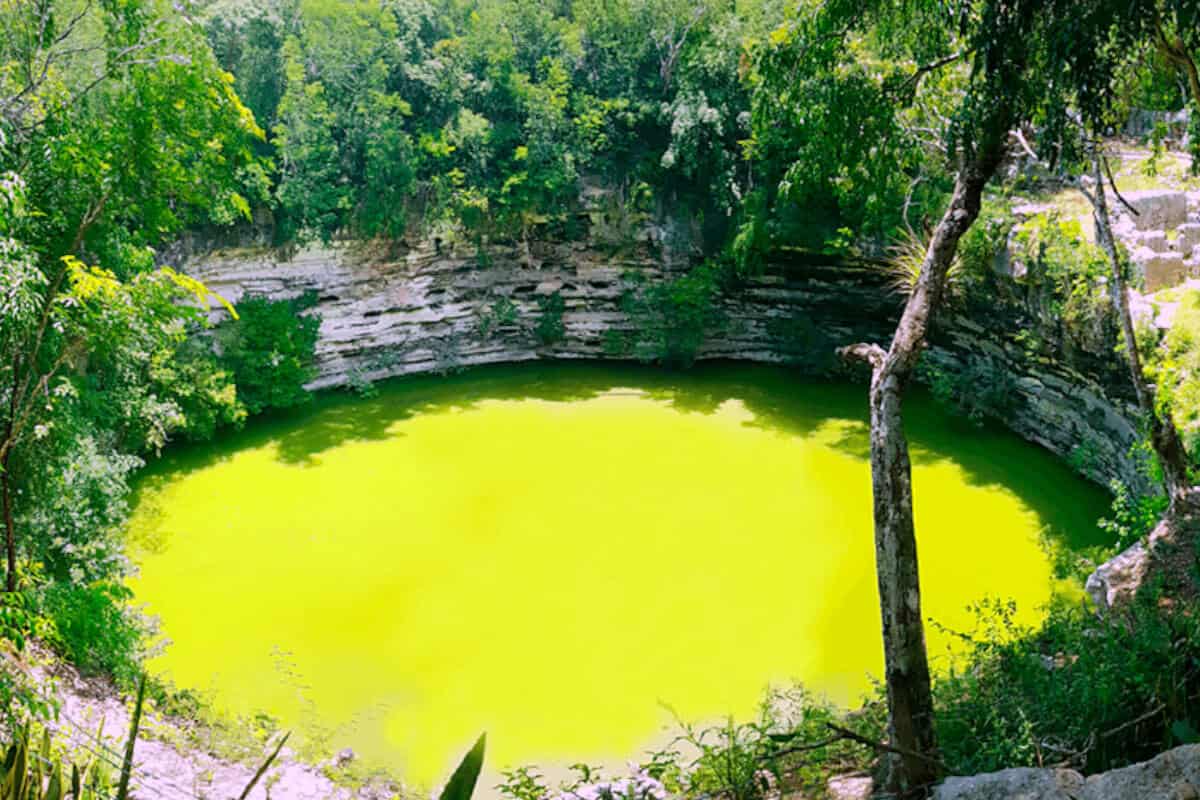 Cenote Sagrado - El cenote de los sacrificios - Info Quintana Roo