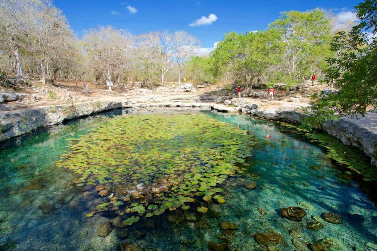 Cenote Xlacah - Disfrutar del Cenote Xlacah después de recorrer las Zonas Arqueológicas