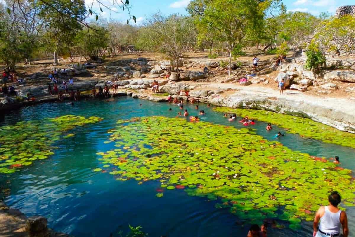 Cenote Xlacah - Qué saber del Cenote Xlacah