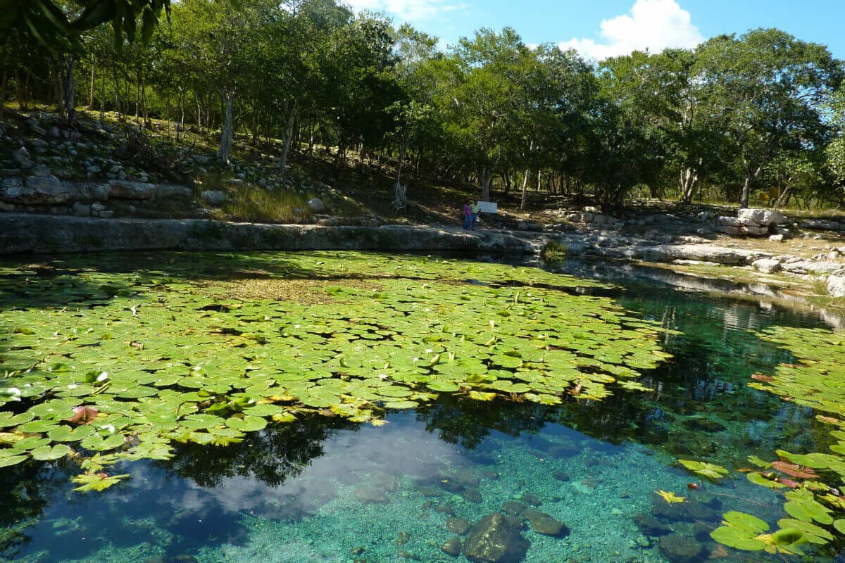 Cenote Xlacah - Un extra en las cercanías del cenote