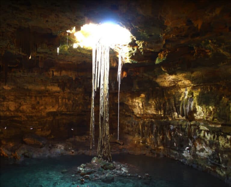 Cenote Samulá Maravilloso Espectáculo De Luces Info Quintana Roo