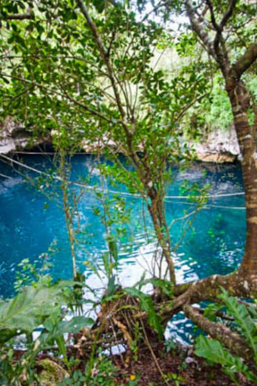 Cenote Verde Lucero
