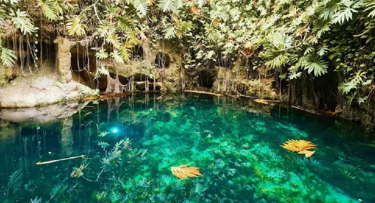 Hacienda Mucuyché - cenote