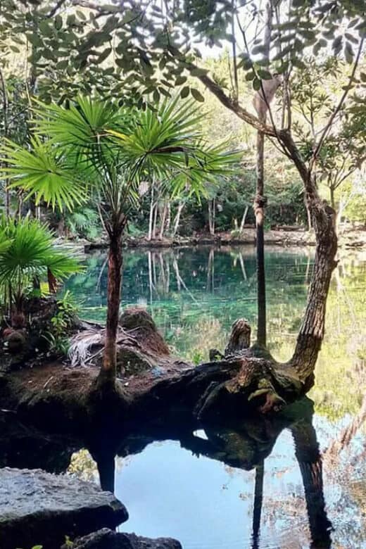 Cenote Chikin Ha