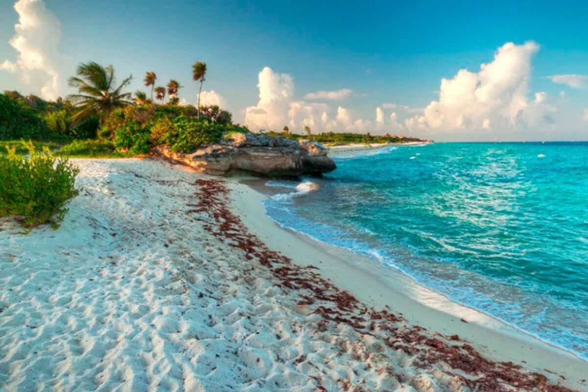 ¿Qué Hacer En Cozumel? Guía Completa - Info Quintana Roo