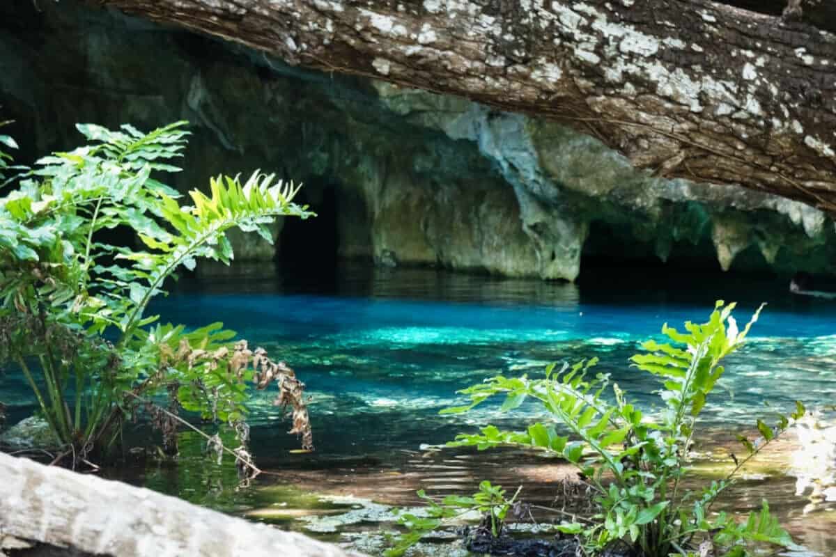 Tulum - Lugares para visitar - La ruta de los Cenotes de Tulum