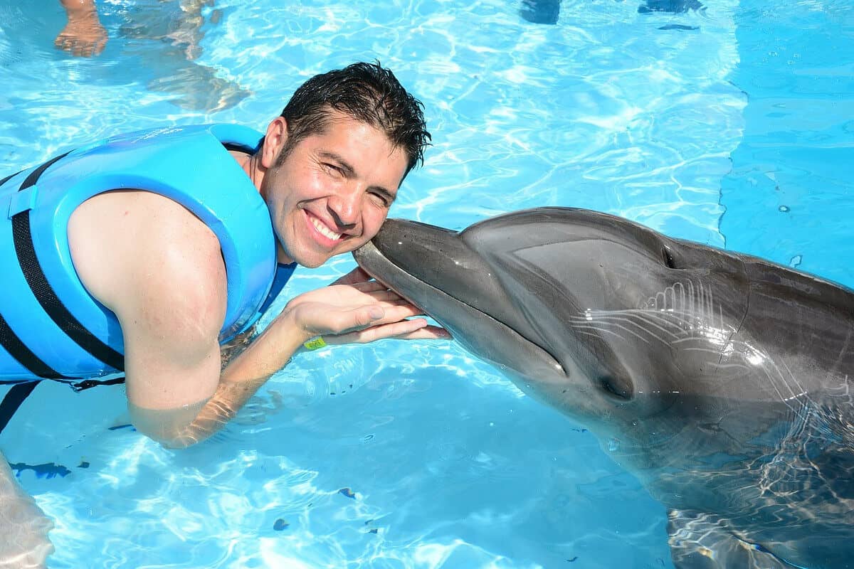 Nado con delfines en Cancún - En qué consiste el nado con delfines en Cancún 