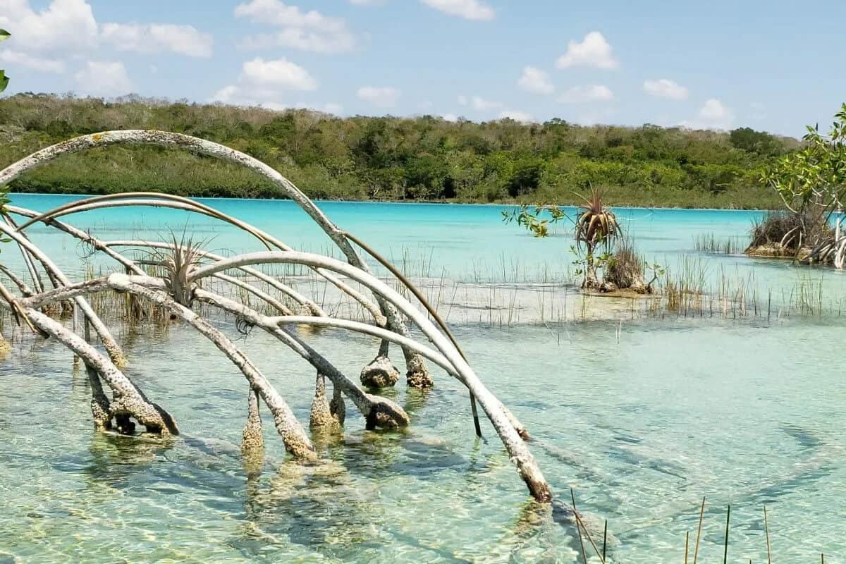 Ecosistemas de Quintana Roo - Áreas naturales protegidas de los ecosistemas de Quintana Roo