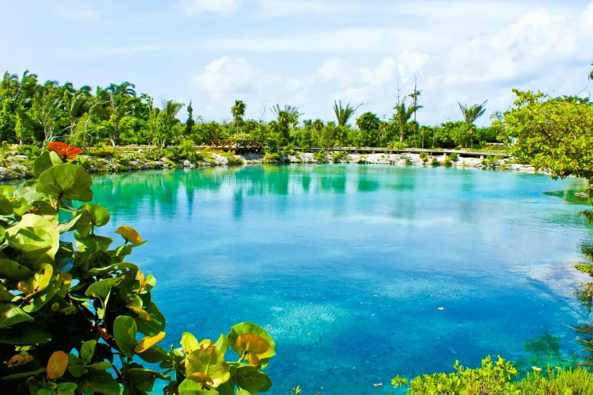 Ecosistemas de Quintana Roo - Cuál es la flora y fauna de Quintana Roo