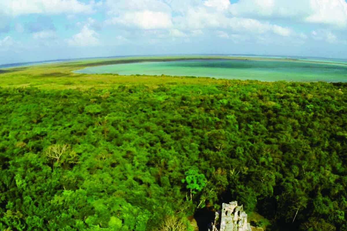 Ecosistemas de Quintana Roo - Qué saber sobre visitar los ecosistemas de Quintana Roo