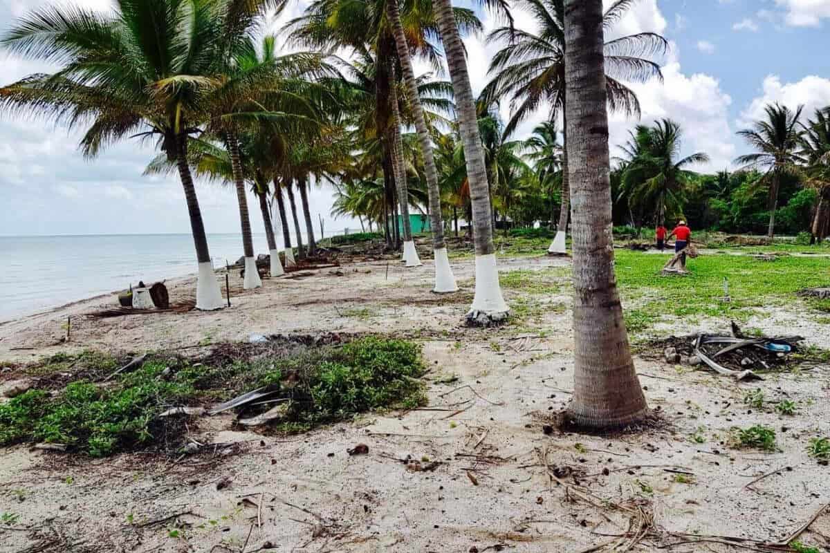Playas de Campeche - Playa Punta Xen